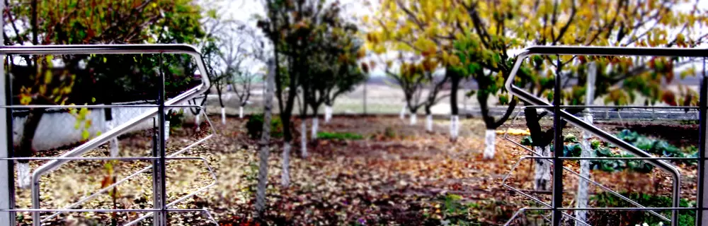 garduri si porti constanta